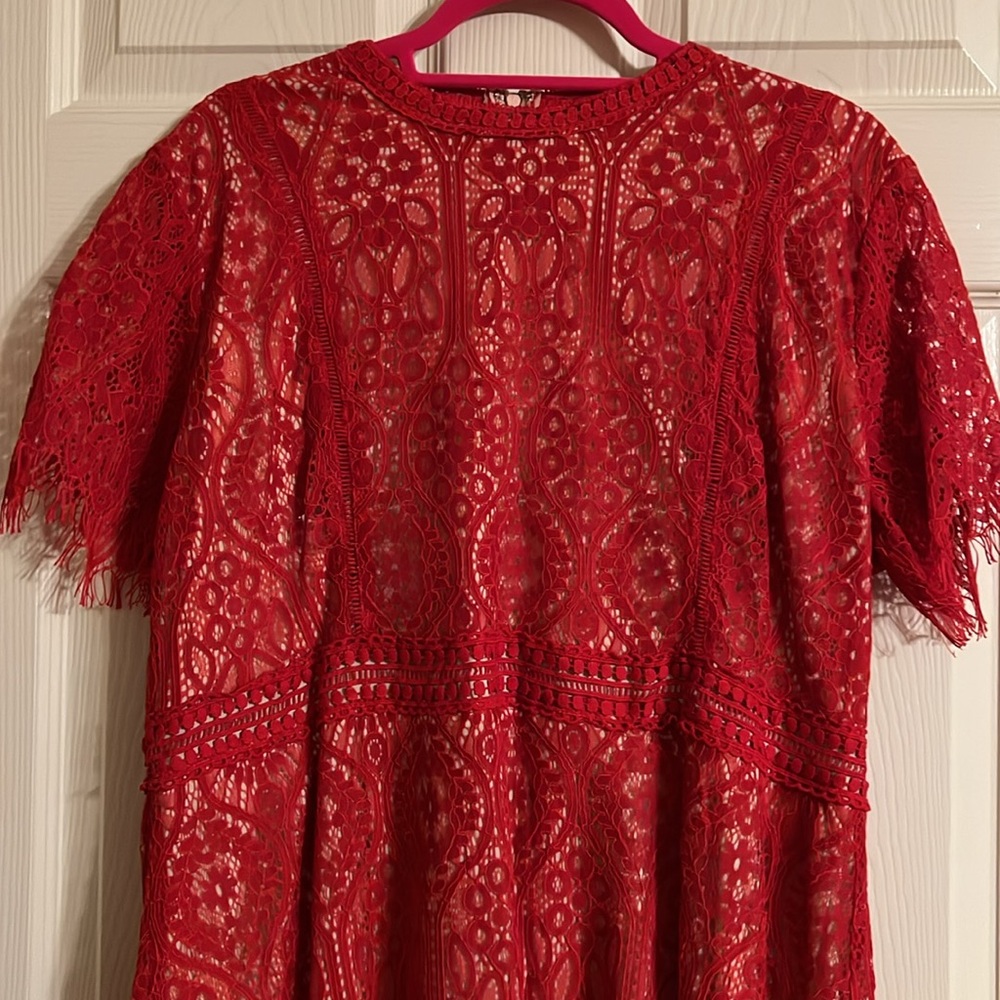 Perfectly Priscilla Lace Dress 1X - Picture 2 of 5